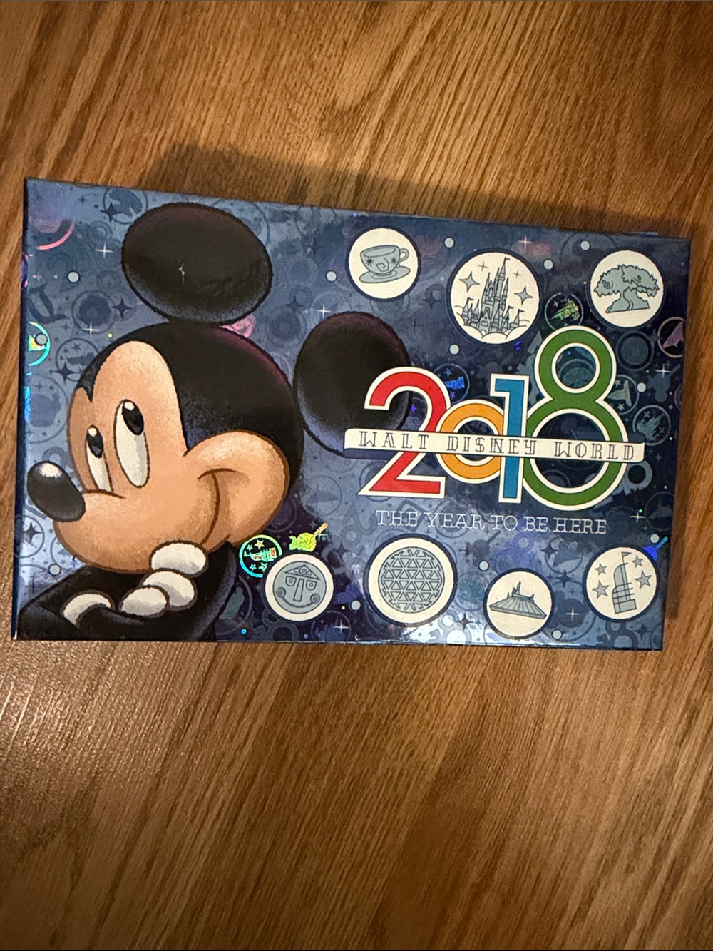 Disney Blue Multicolor 2018 photo album